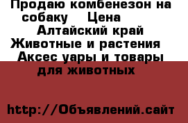 Продаю комбенезон на собаку  › Цена ­ 250 - Алтайский край Животные и растения » Аксесcуары и товары для животных   